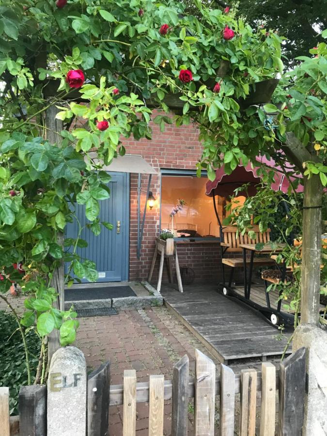 Dein Ferienhauschen Im Wendland Mit Schnellem Internet Und Kamin Διαμέρισμα Ντάνενμπεργκ Εξωτερικό φωτογραφία